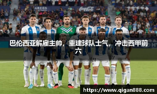 哈哈体育