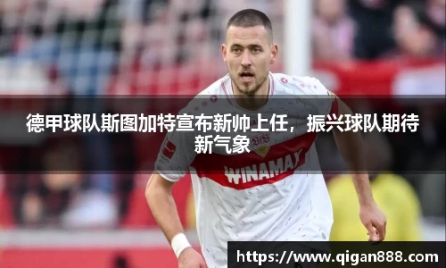 哈哈体育官网