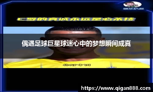 哈哈体育haha